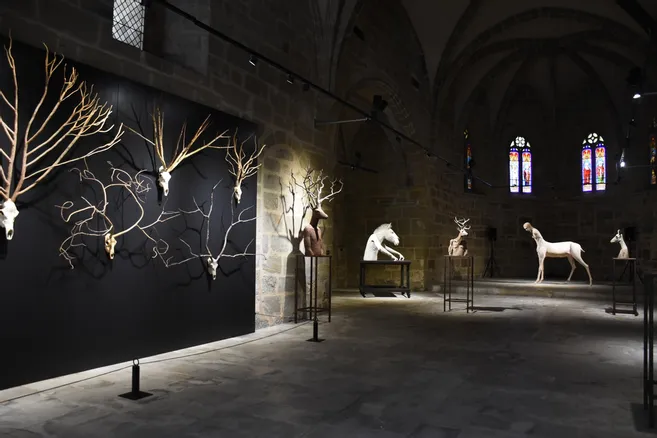 Les créatures hybrides de l’artiste François Lelong à découvrir à la chapelle Saint-Libéral, à Brive